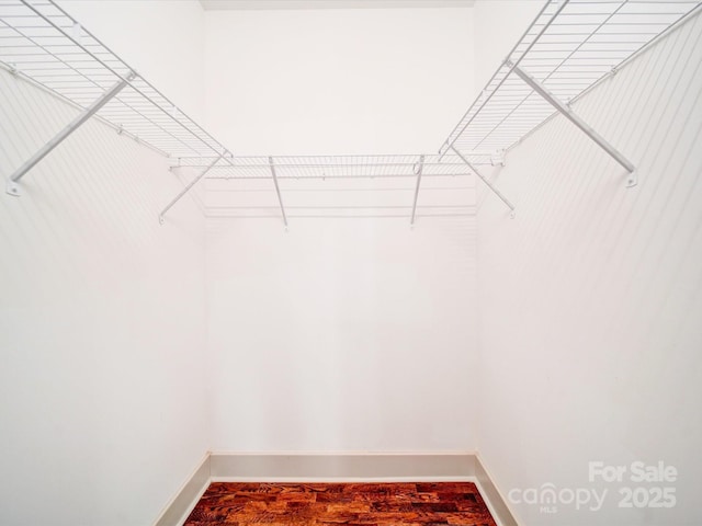 spacious closet with hardwood / wood-style flooring