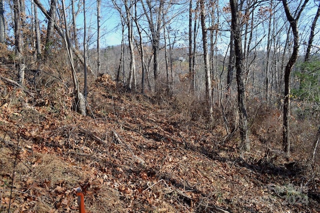 377 Elk Mountain Scenic Hwy, Asheville, NC 28804 - photo 1