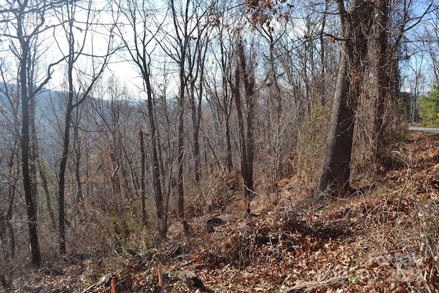 377 Elk Mountain Scenic Hwy, Asheville, NC 28804 - photo 2