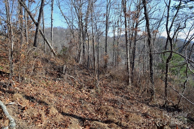 377 Elk Mountain Scenic Hwy, Asheville, NC 28804 - photo 3