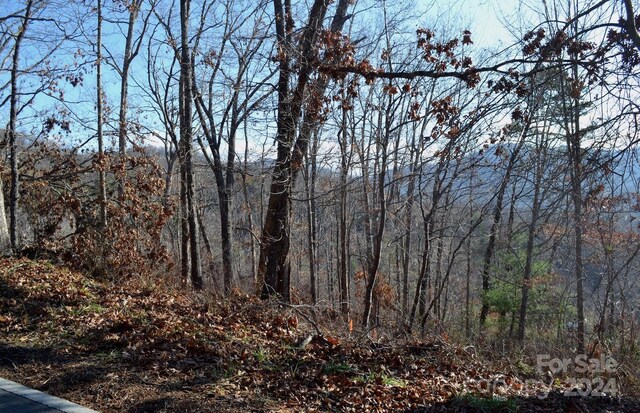 377 Elk Mountain Scenic Hwy, Asheville, NC 28804 - photo 4