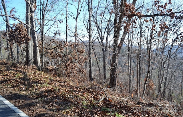 377 Elk Mountain Scenic Hwy, Asheville, NC 28804 - photo 5