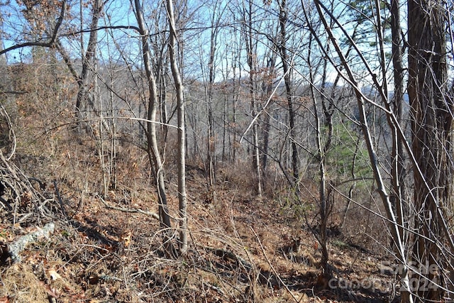 377 Elk Mountain Scenic Hwy, Asheville, NC 28804 - photo 6