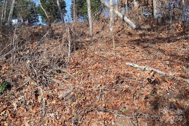 377 Elk Mountain Scenic Hwy, Asheville, NC 28804 - photo 7