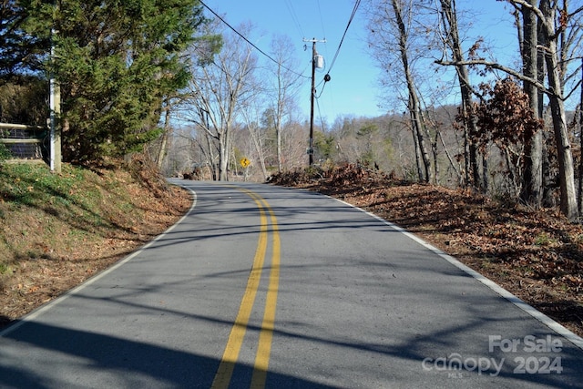 377 Elk Mountain Scenic Hwy, Asheville, NC 28804 - photo 10