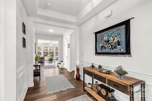 hallway with dark hardwood / wood-style flooring and crown molding