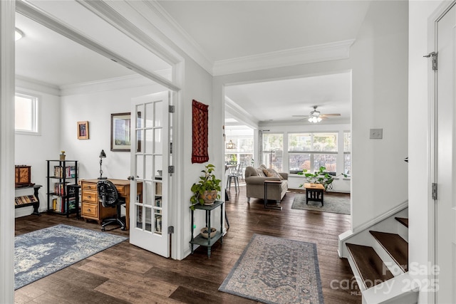 foyer featuring dark hardwood / wood-style floors, ceiling fan, and crown molding