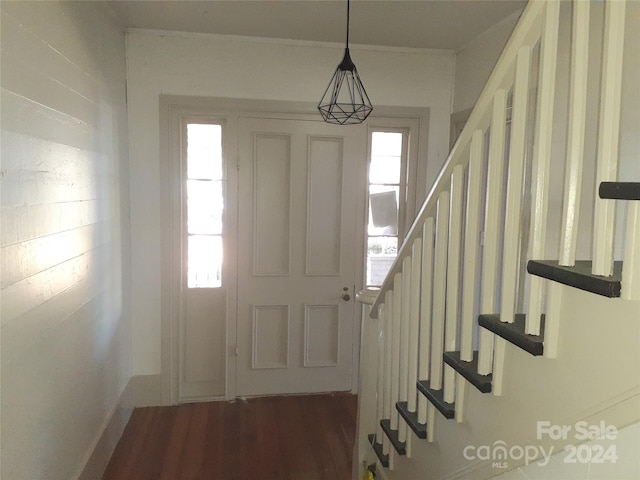 foyer featuring plenty of natural light and dark wood-type flooring