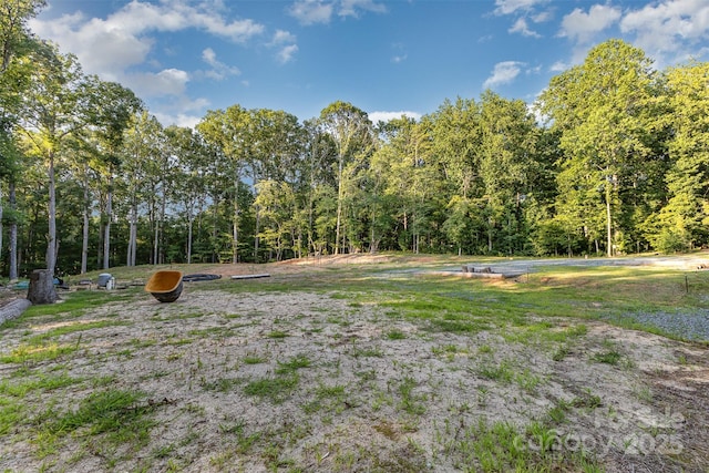 6634 Sadler Rd, Waxhaw, NC 28173 - photo 6