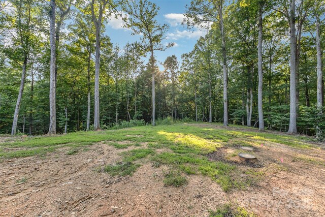 6634 Sadler Rd, Waxhaw, NC 28173 - photo 26
