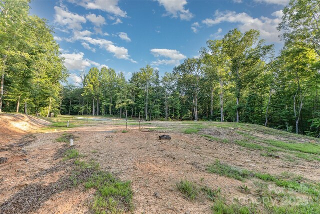 6634 Sadler Rd, Waxhaw, NC 28173 - photo 27