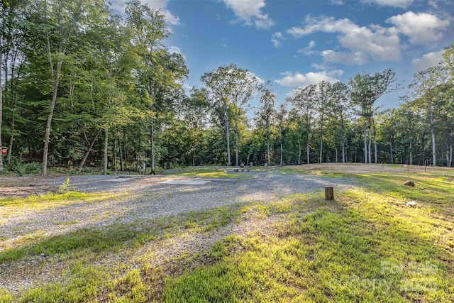 6634 Sadler Rd, Waxhaw, NC 28173 - photo 30