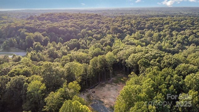 6634 Sadler Rd, Waxhaw, NC 28173 - photo 38