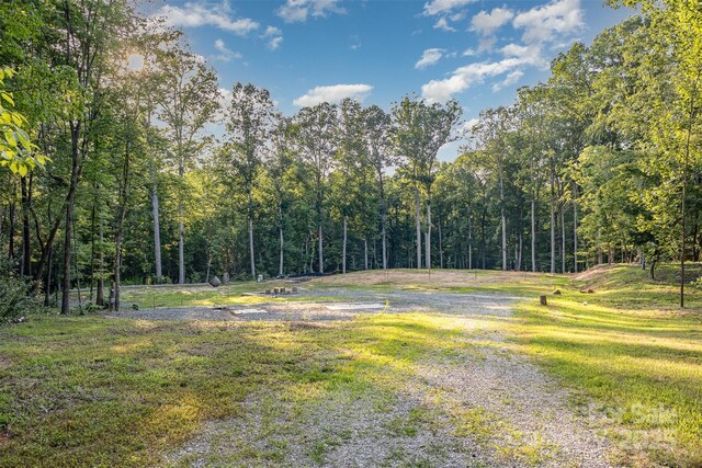 6634 Sadler Rd, Waxhaw, NC 28173 - photo 43