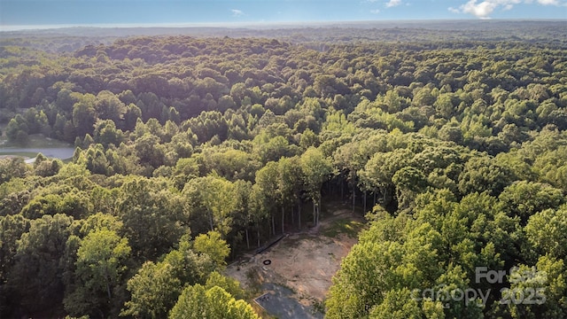 6634 Sadler Rd, Waxhaw, NC 28173 - photo 48