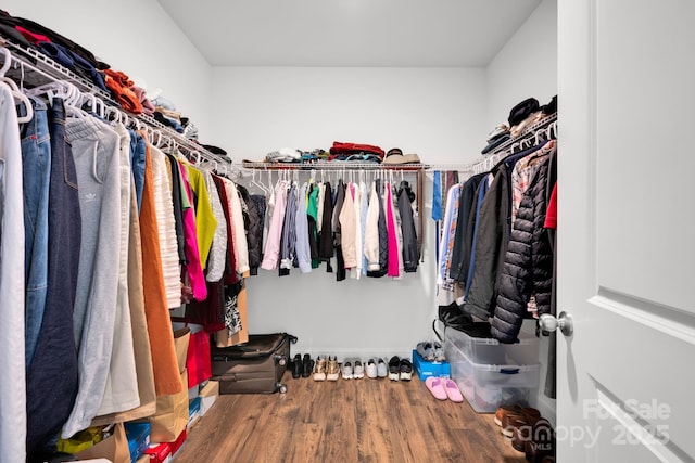 spacious closet featuring hardwood / wood-style flooring