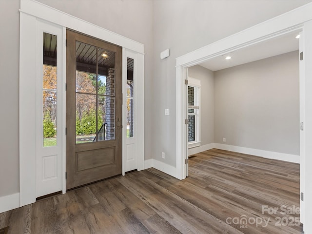 foyer featuring dark wood-type flooring