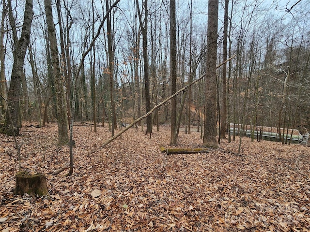 Listing photo 2 for TBD Grassy View Rd, Candler NC 28715