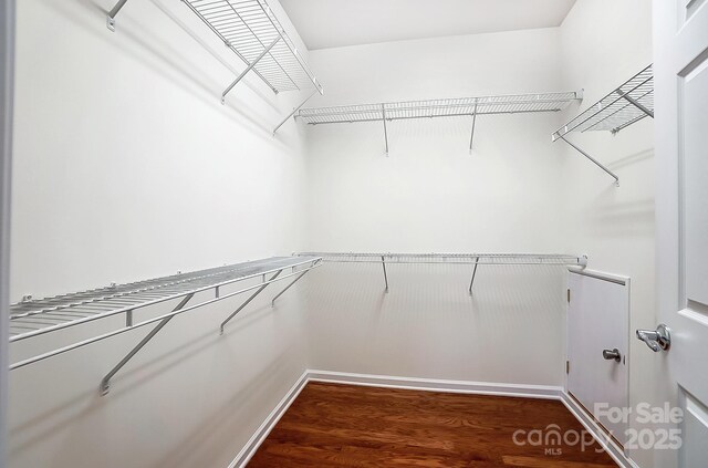 walk in closet with dark hardwood / wood-style flooring