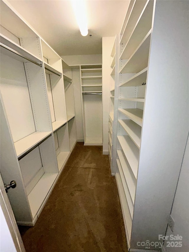 walk in closet with dark carpet