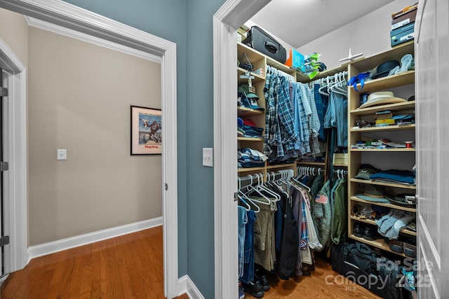 spacious closet featuring hardwood / wood-style flooring