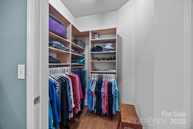 walk in closet featuring dark hardwood / wood-style floors