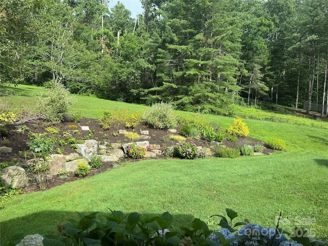 53 Jump Cove Rd, Weaverville, NC 28787 - view of green lawn with a wooded view