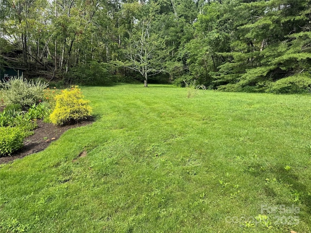 53 Jump Cove Rd, Weaverville, NC 28787 - view of grassy yard