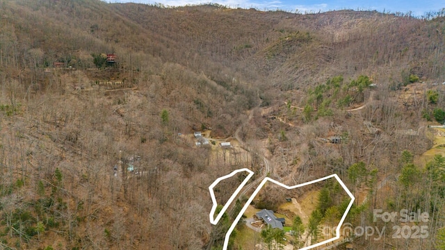 53 Jump Cove Rd, Weaverville, NC 28787 - aerial overview of property's location featuring property parcel outlined and mountains