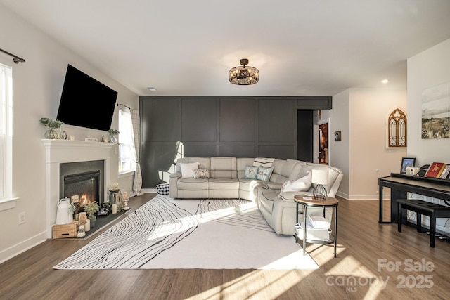 living room featuring wood-type flooring