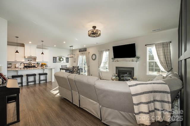 living room with dark hardwood / wood-style flooring and sink