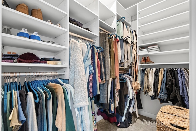 walk in closet with carpet flooring