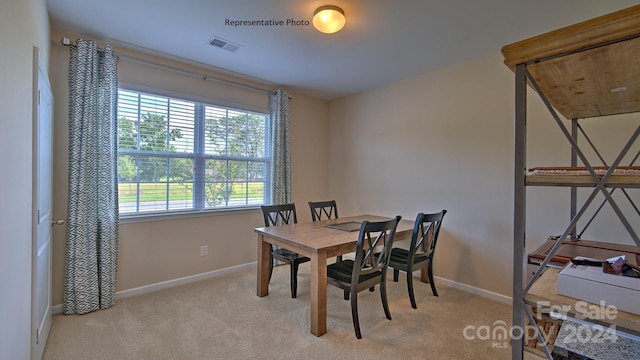 carpeted dining space with plenty of natural light