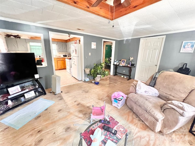 living room with ceiling fan, radiator heating unit, and crown molding