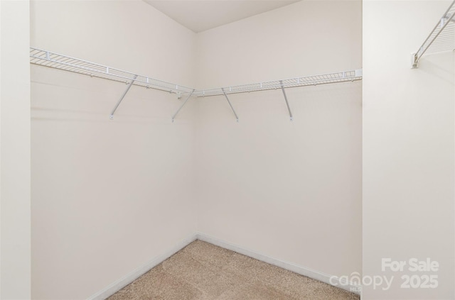 spacious closet with light colored carpet