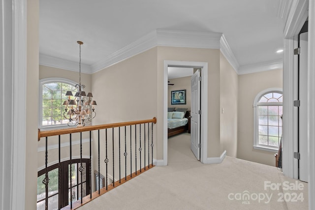 corridor with a healthy amount of sunlight, light colored carpet, an inviting chandelier, and crown molding