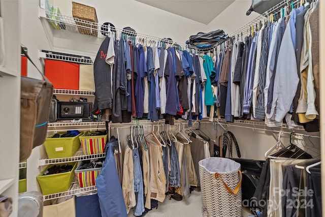 walk in closet with carpet floors