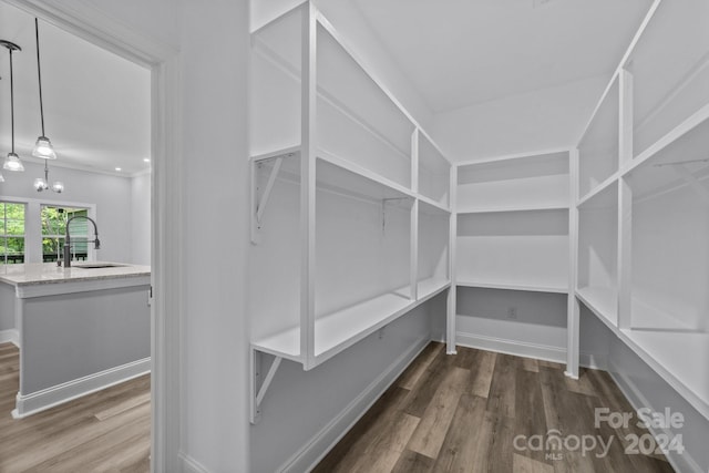 walk in closet with hardwood / wood-style flooring, a notable chandelier, and sink