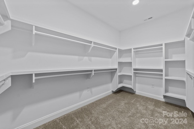 walk in closet with carpet floors