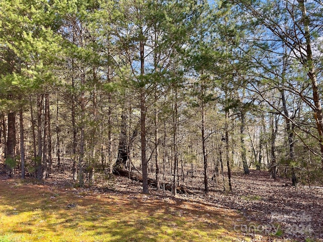 511 Whisper Lake Dr, New London, NC 28127 - photo 8