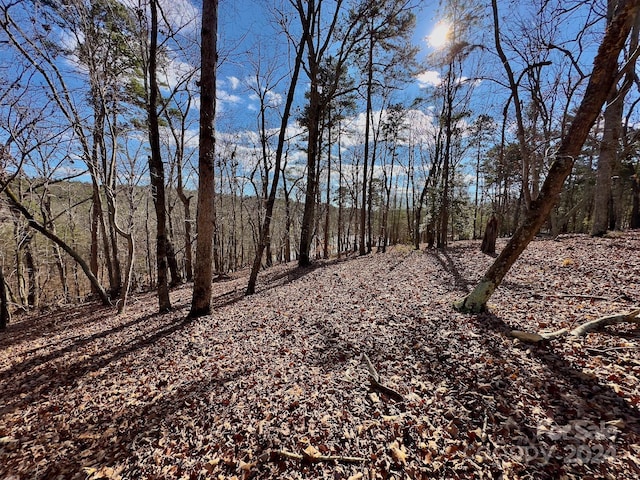 511 Whisper Lake Dr, New London, NC 28127 - photo 20