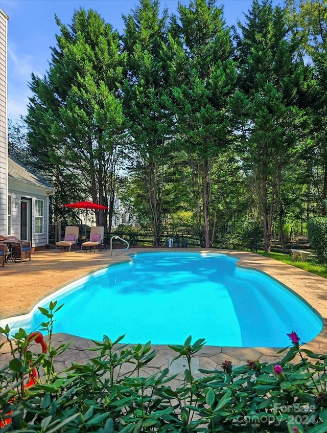 view of swimming pool with a patio