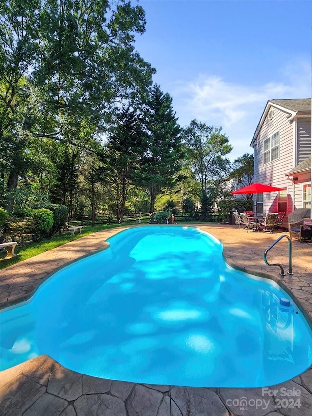 view of swimming pool featuring a patio area