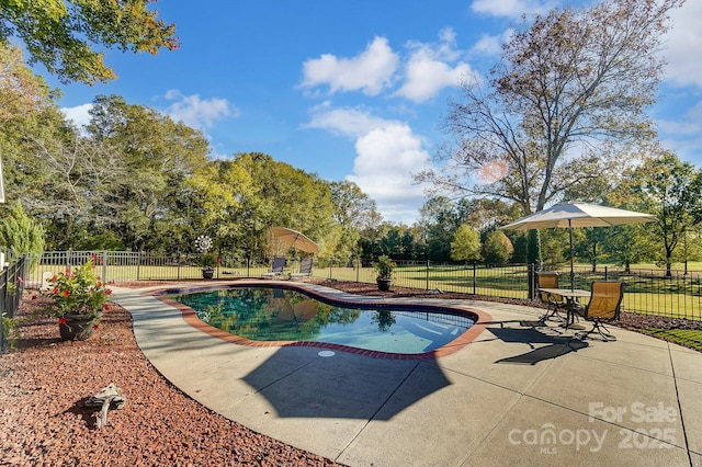 view of pool with a patio area