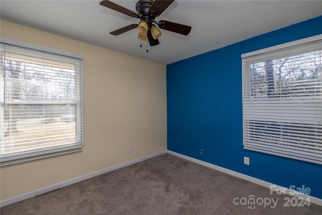 carpeted spare room featuring a wealth of natural light, ceiling fan, and a textured ceiling