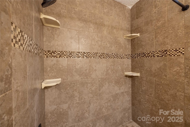 206 Fox Den Rd, Troy, NC 27371 - bathroom featuring a tile shower
