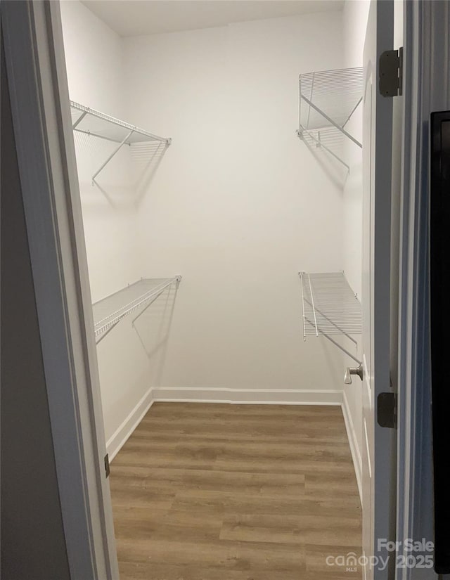 spacious closet with wood-type flooring