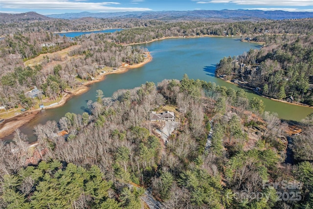 drone / aerial view featuring a wooded view and a water and mountain view