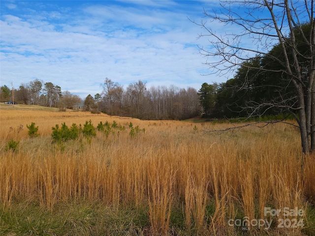 000 Herbert Page Rd, Tryon NC, 28782 land for sale