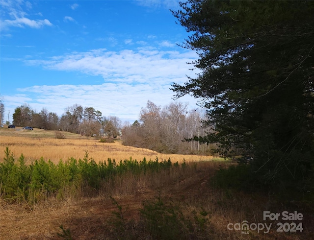 Listing photo 2 for 000 Herbert Page Rd, Tryon NC 28782